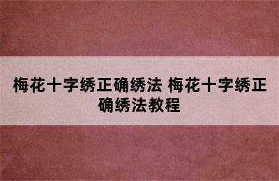 梅花十字绣正确绣法 梅花十字绣正确绣法教程